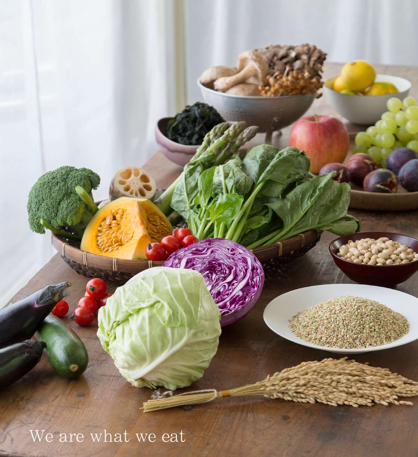 ホルモン免疫栄養学とは